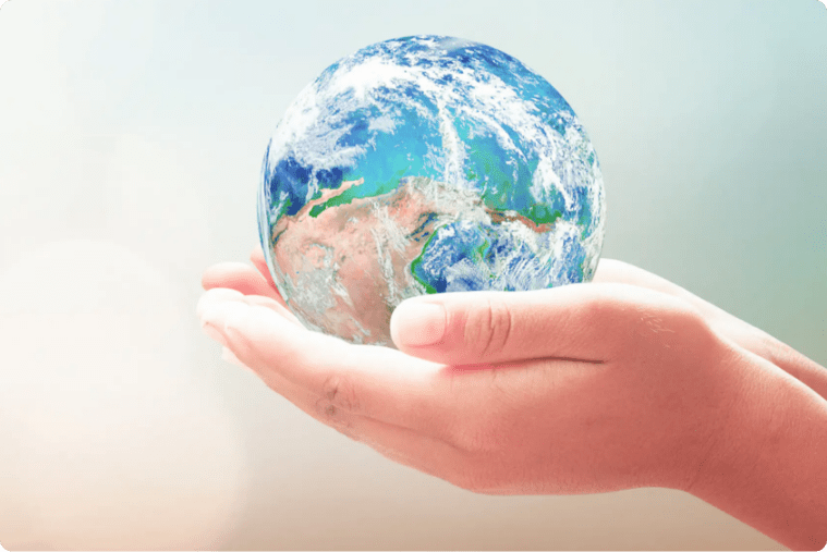 Hands holding the globe